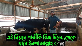 এই নিয়মে গাভীকি বিজ দিলে,,থেকে যাবে ইনশাআল্লাহ ☪🐄