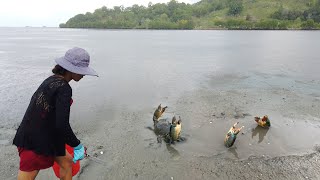 Catching Giant Mud Crabs in the Rain – Epic Sea Crab Hunt!