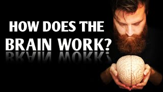 How does the brain work?  |  Dr. James Cooke
