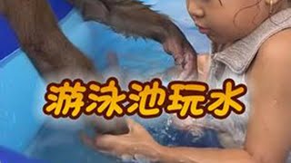 第374集 | 小猴子和宝宝，在充气游泳池里面玩水 #猴子 #动物 #宠物