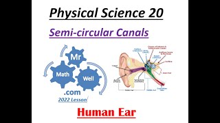 Phys Sc 20 - Human Ear_ Semi-circular Canals