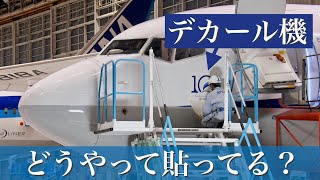 デカール貼付作業に密着！ ANAウイングス創立10周年ロゴ機