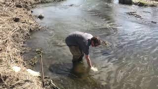 Collecting a replicate sample from a stream