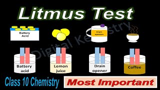 What is | Litmus test for acids and bases | Class 10 Chemistry Acids ,Bases and Salts-Litmus Paper