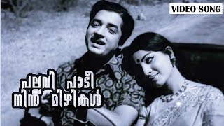 Pallavi Paadi Nin | Sethubandhanam | Prem Nazeer | Jayabharathi | Yesudas | Malayalam Film Song