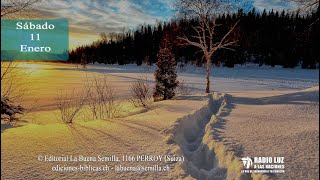 La Buena Semilla - 11 de enero (El mensaje de la cruz sigue intacto)