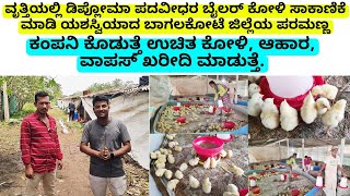 ಬೊಯ್ಲೆರ್ ಕೋಳಿ ಸಾಕಾಣಿಕೆ ಕಂಪನಿ ಕೊಡುತ್ತೆ ಉಚಿತ ಕೋಳಿ ಆಹಾರ ವಾಪಸ್ ಖರೀದಿಸಿ ಮಾಡುತ್ತೆ ನಿಮ್ಮ ಪರಿಶ್ರಮ ಸಾಕು