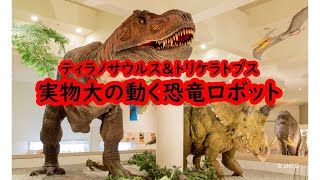 愛媛恐竜博物館(in Ehime)：実物大の動く恐竜ロボット、リアルすぎるティラノサウルス＆トリケラトプス.