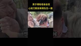 男子得知母亲去世心如刀割，也没有来得及见一面，希望天下儿女多陪陪自己的父母