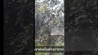 ปีใหม่อุ่นใจทุกการเดินทาง #คลิปตลก #Funny #awesome