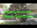 TERENGGANU CANTIK (BEAUTIFUL TERENGGANU) | MERONDA DI KAMPUNG JERAM HULU DAN JERAM HILIR,TEPUH