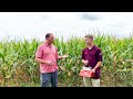 fmc tech talk monitoring for corn earworm with arc™ farm intelligence