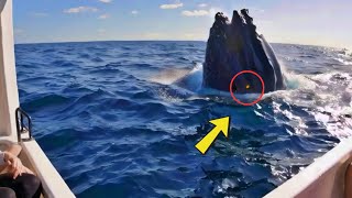 Giant whale appears out of nowhere and what it has in its mouth leaves everyone in panic