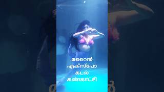 മത്സ്യകന്യക | mermaid #viralvideo #shortsfeed