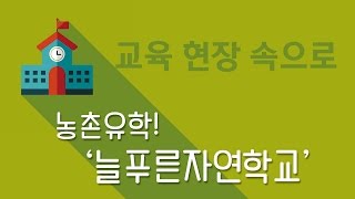 농촌유학! '늘푸른자연학교' [교육 현장 속으로]