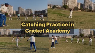 Catching Practice in Cricket Academy