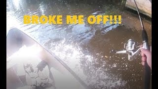 WHAT FISH WAS THAT? BROKE ME OFF!! Cocohatchee river