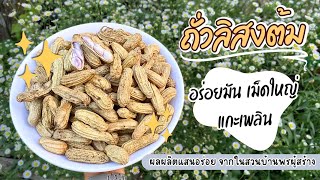 ถั่วลิสงต้มอินทรีย์ไร้สารจากสวน เม็ดใหญ่ๆ เคี้ยวเพลินๆ🥜