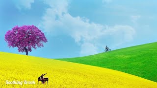 【soothing music for a relaxing mind】relaxing music for stress relief