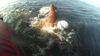 Prabhat Raju Koli swimming with seals around Robben Island