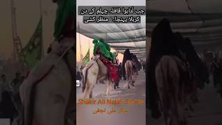 Arbaeen  Walk 2024 Live Manzar Kashi Karbala Live Arbaeen 2024 #arbaeenwalk2024 #karbalalive #shorts