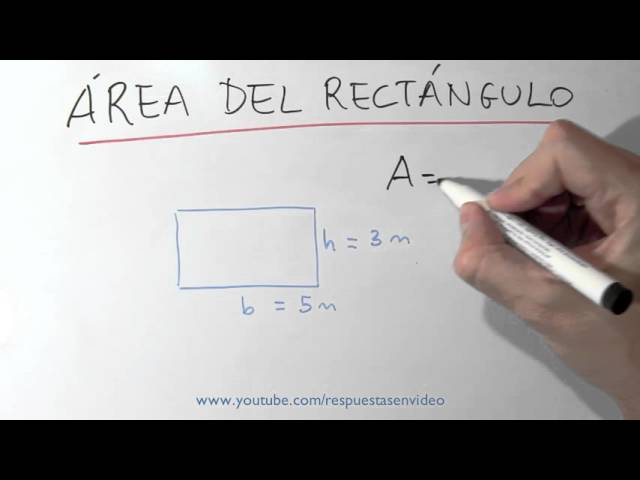 Formula Para Calcular El Area Del Triangulo Rectangulo - Design Talk