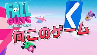 初FallGuysだけどチーターいないし余裕でしょ【FallGuys】