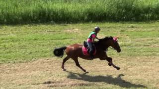 Hurme Satu - Bright Eyes - CIC* - Nagykanizsa 2016