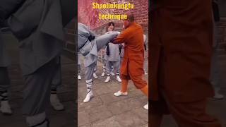 Shaolin Self-Defence t$ Qinna (Jointlock techniques)🌸🙏🌸#kungfu#selfdefense🌸  #chinesemartialarts🌸🌸