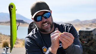 EVERYTHING YOU NEED TO KNOW ABOUT HOOKUPBAITS