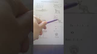 Animal rhythm patterns reminder video