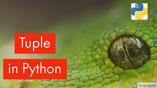 Tuples in Python(Tutorial 16)
