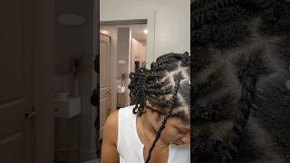 Super Easy Mini Twist w/added hair #protectivestyles