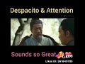 Justin bieber- Despacito 🔥Chinese version