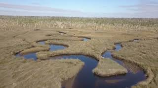 Fishing and Drone flying at Spring Warrior Florida