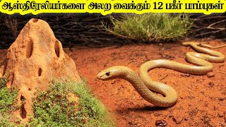 ஆஸ்திரேலியர்களை அலற வைக்கும் 12 பகீர் பாம்புகள்