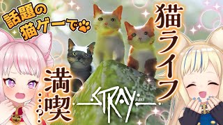 【話題の猫ゲー】Stray：ネコから始める異世界生活