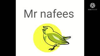 Mr nafees