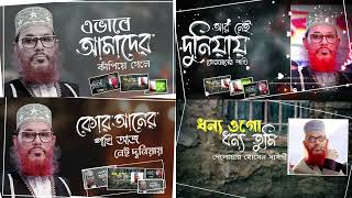 কলিজা কাঁপানো গজল | এভাবে আমাদের | কুরআনের পাখি | আর নেই দুনিয়ায়| সাঈদী | Delwar Hossain Sayeedi