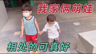 韓國奶爸獨自帶娃，中韓萌娃小哥倆不哭不鬧，手牽手太可愛了【中国女婿仙儿哥】