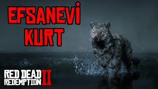 EFSANEVİ KURT / LEGENDARY WOLF - RED DEAD REDEMPTION 2