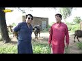 ramzani ni majh pothwari comedy drama hameed babar full funny video ramzani punjabi funny drama