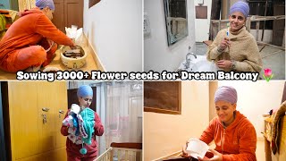 Growing 25 variety of Seeds for my Dream Balcony 🌷|| Home renovation started || #vlog