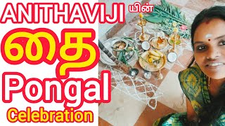 மிக எளிமையான பொங்கல் கொணேடாட்டம் | very simple pongal celebration