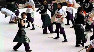 早稲田大学 東京花火（よさこい甲子園2010）