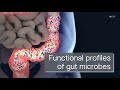 Four distinct functional profiles in the human gut microbiome