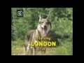 The Littlest Hobo theme song - 