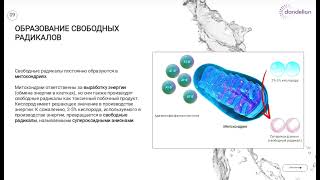 Dandelion h2 Крем с Молекулярным водородом Основа Омоложение ОВП Увлажнение Коллаген Текстура