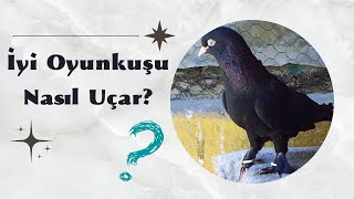 İyi oyunkuşu nasıl uçar? (oyunkuşu)