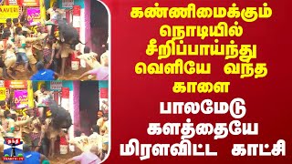 கண்ணிமைக்கும் நொடியில் சீறிப்பாய்ந்து வெளியே வந்த காளை - பாலமேடு களத்தையே மிரளவிட்ட காட்சி